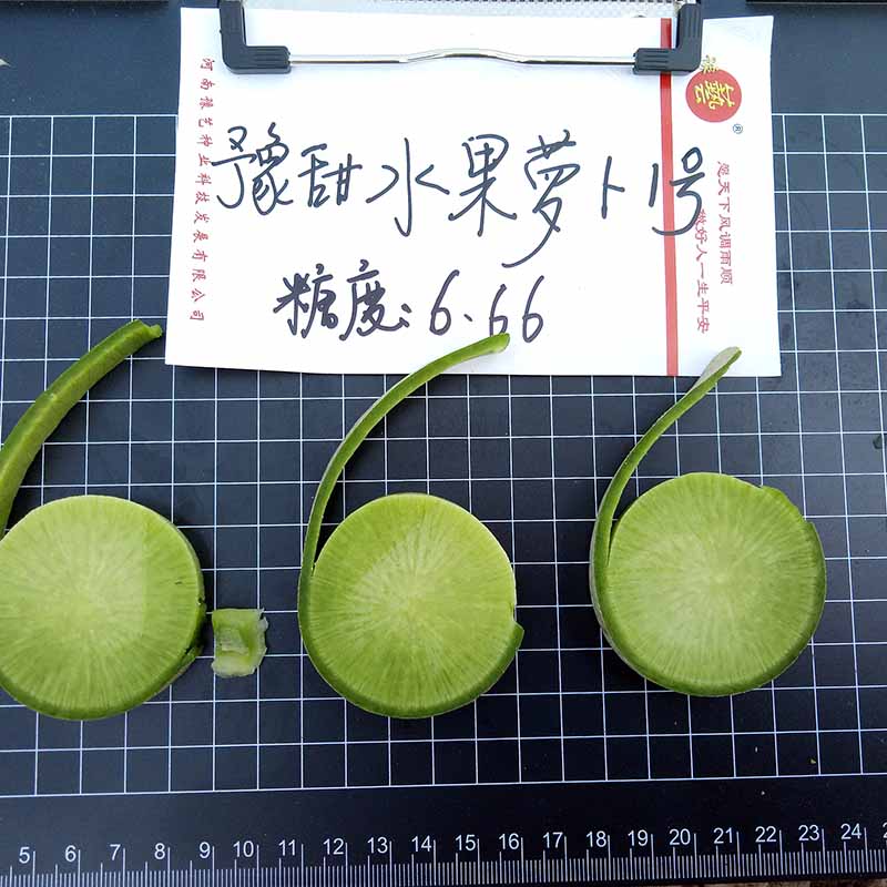 富联娱乐水果萝卜