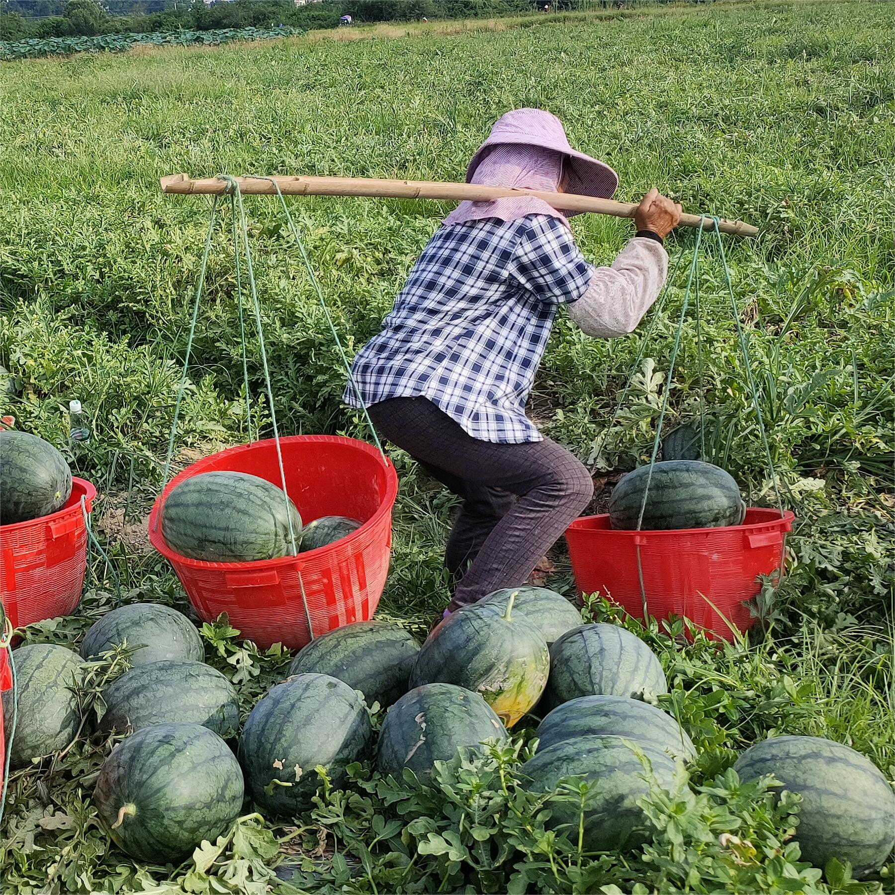 富联娱乐黑娃二号