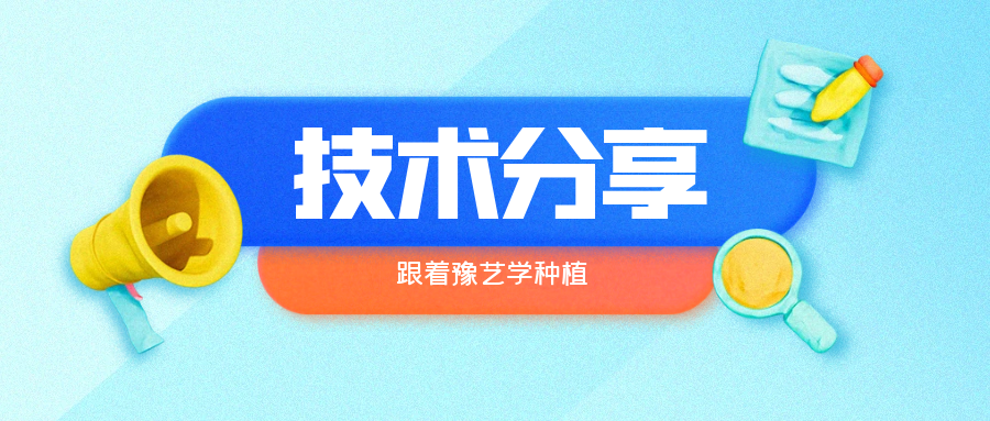 秋大棚辣椒、番茄育苗关键技术分享